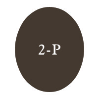 Library of Shapes_2P